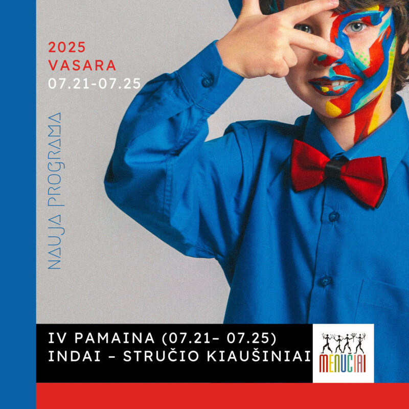 IV pamaina –  INDAI – STRUČIO KIAUŠINIAI