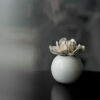 _AUS9616copy-2